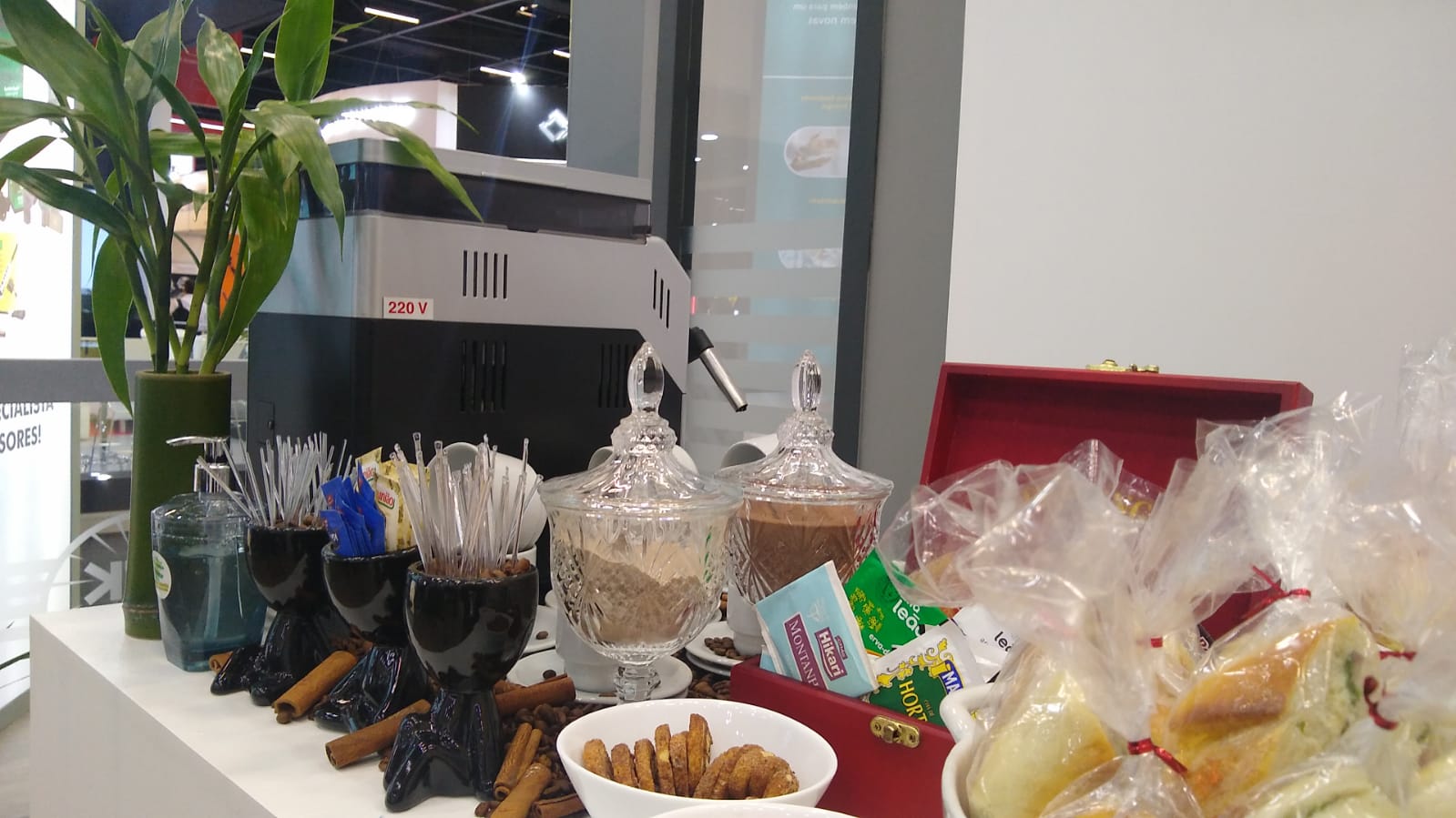 WhatsApp Image 2023-04-25 at 13.20.30.jpeg